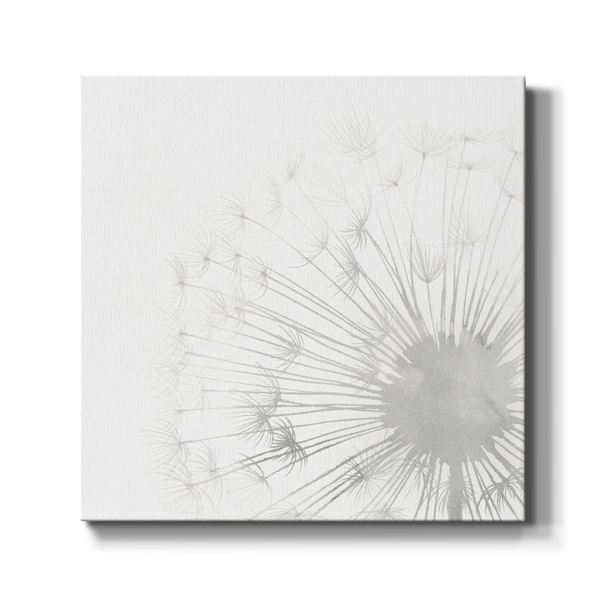 Dandelion Whisper II - Canvas Art Print