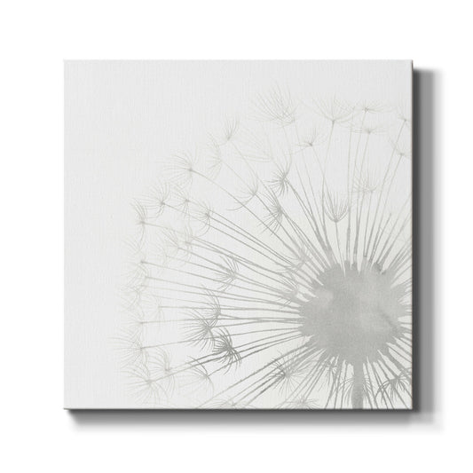 Dandelion Whisper II - Canvas Art Print