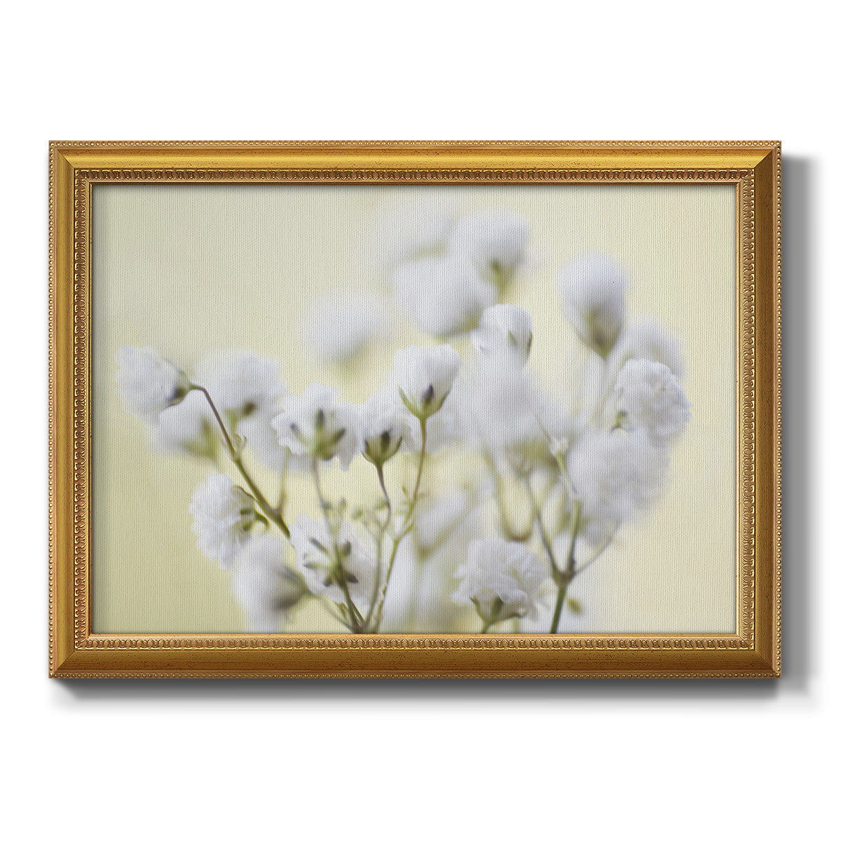 Baby's Breath Study IV Premium Framed Canvas- Ready to Hang