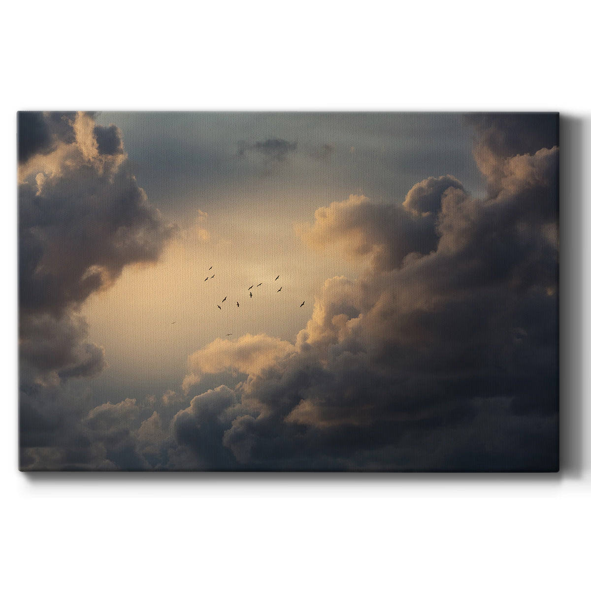 Soaring High Above - Canvas Art Print