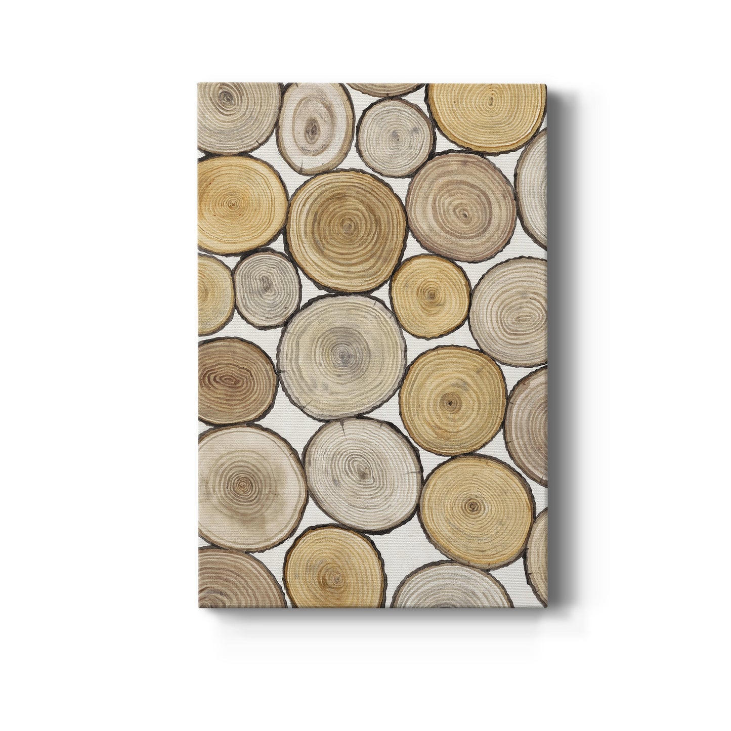 Tree Ring Study I Premium Gallery Wrapped Canvas - Ready to Hang