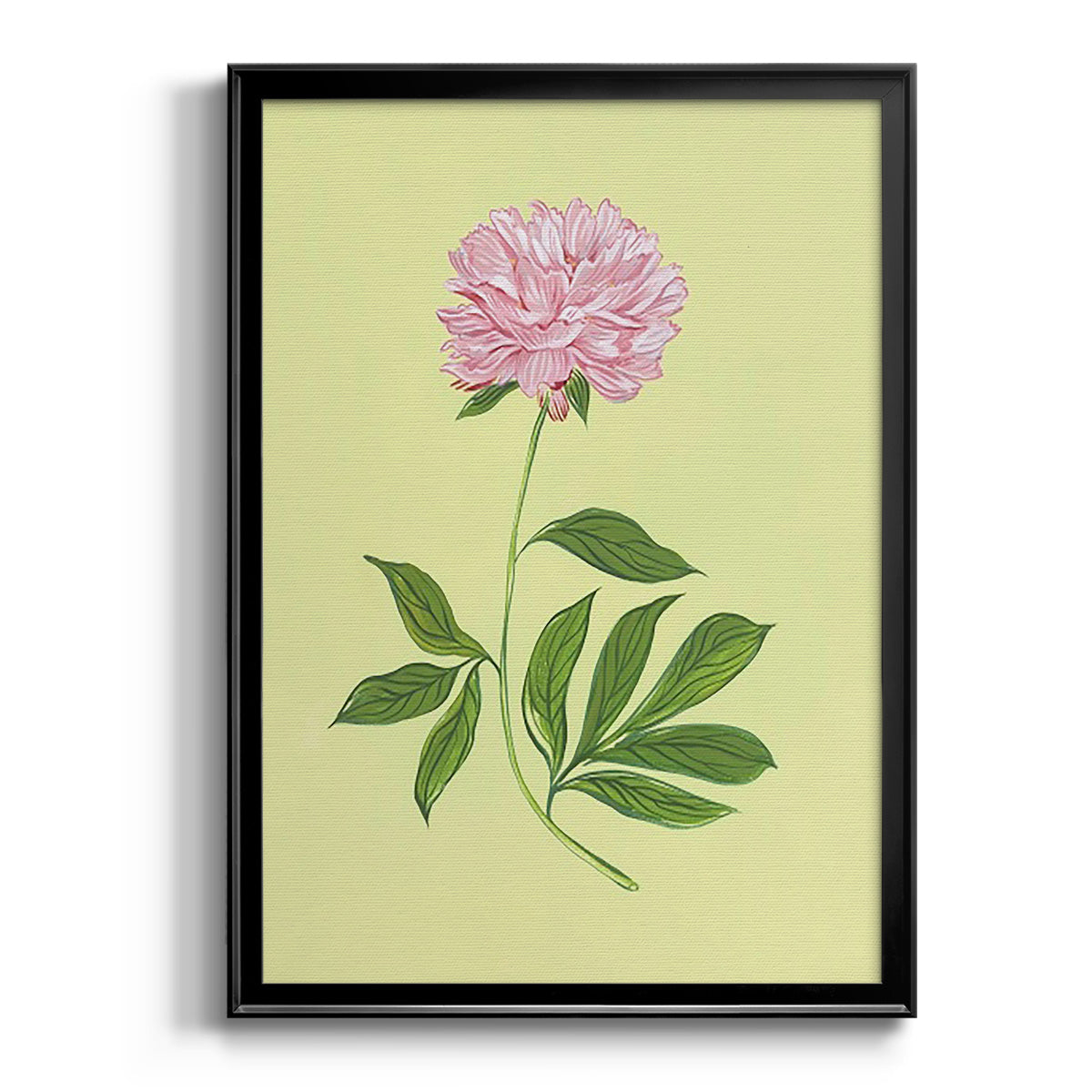 Peonies in Yellow I - Modern Framed Canvas Print