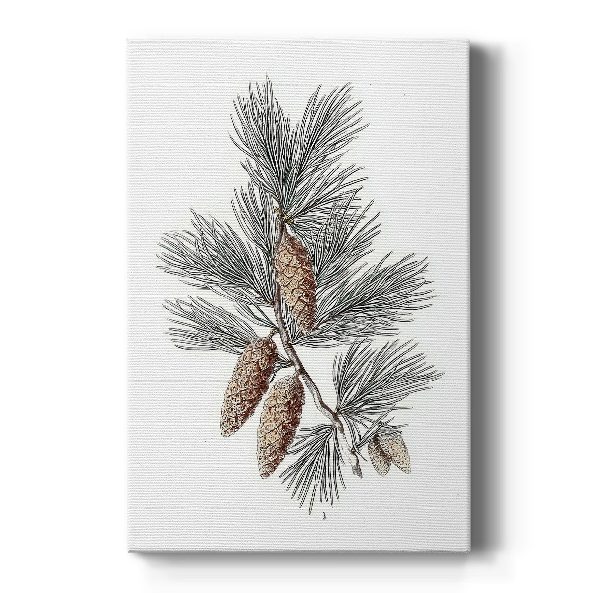 Frostlit Star Hearth - Canvas Art Print