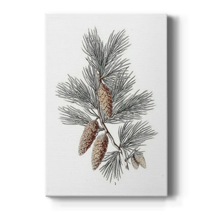 Frostlit Star Hearth - Canvas Art Print