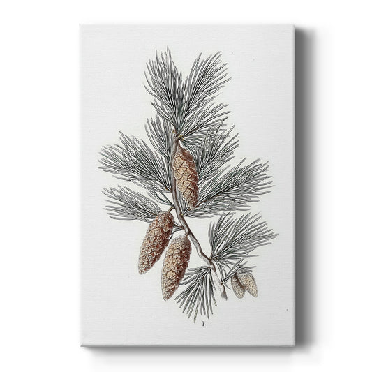 Frostlit Star Hearth - Canvas Art Print