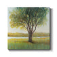 Shade Tree II-Premium Gallery Wrapped Canvas - Ready to Hang