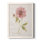 Soft Peony - Barnwood Framed Canvas Print
