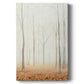 Fall in the Forest II Premium Gallery Wrapped Canvas - Ready to Hang