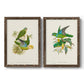 Lime & Cerulean Parrots I - Barnwood Framed Canvas Set