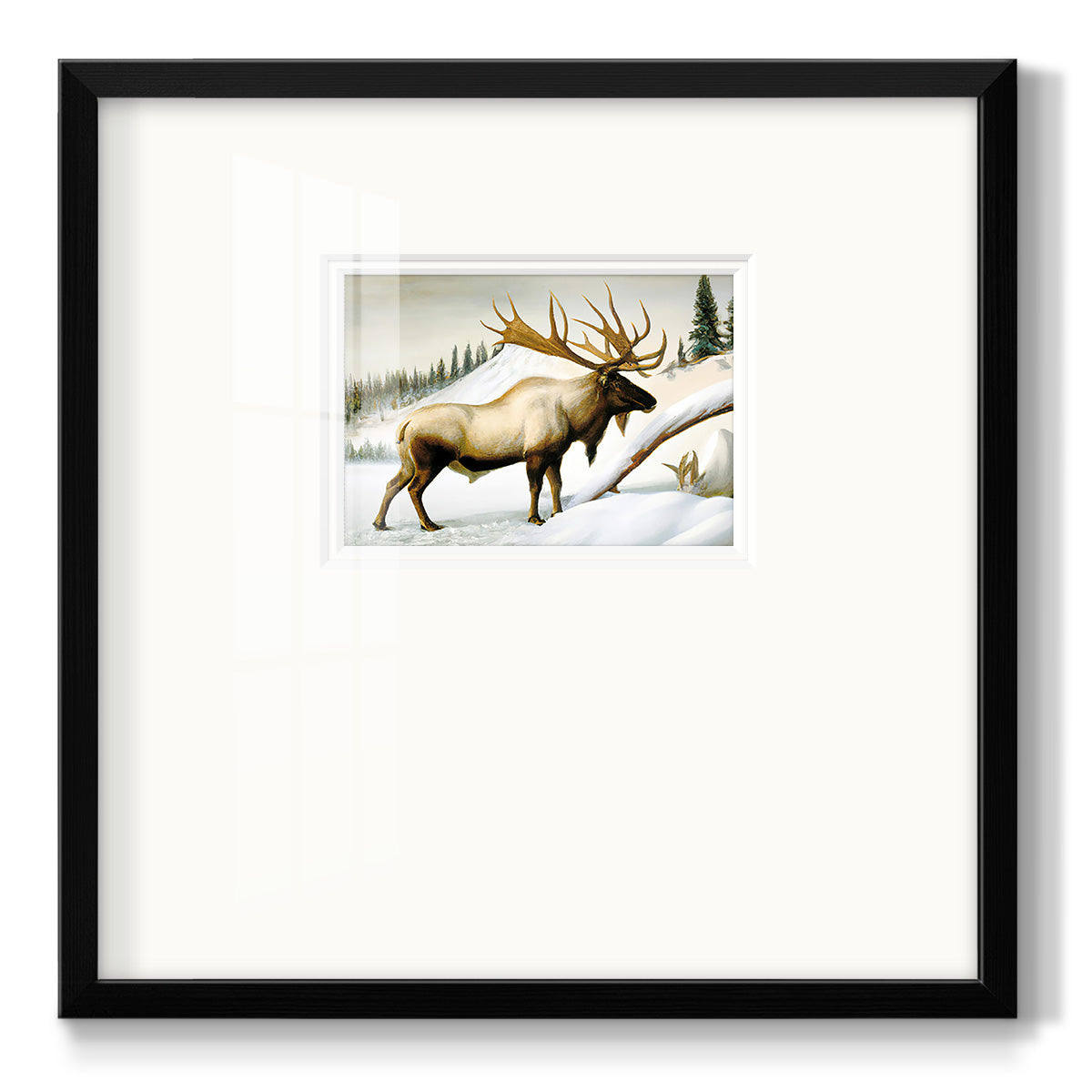 Snow Elk Premium Framed Print Double Matboard