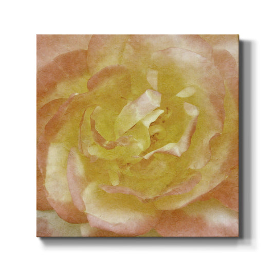 Wall Flower I - Canvas Art Print