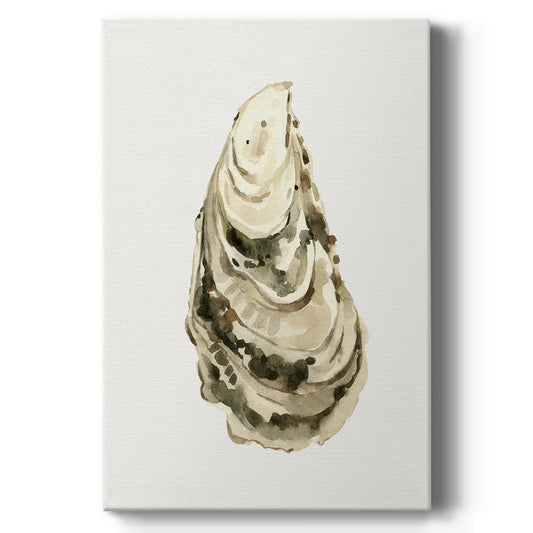 Neutral Oyster Study III  - Canvas Art Print