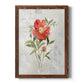 Linen Peony - Barnwood Framed Canvas Print
