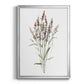 Dainty Botanical III - Modern Framed Canvas Print