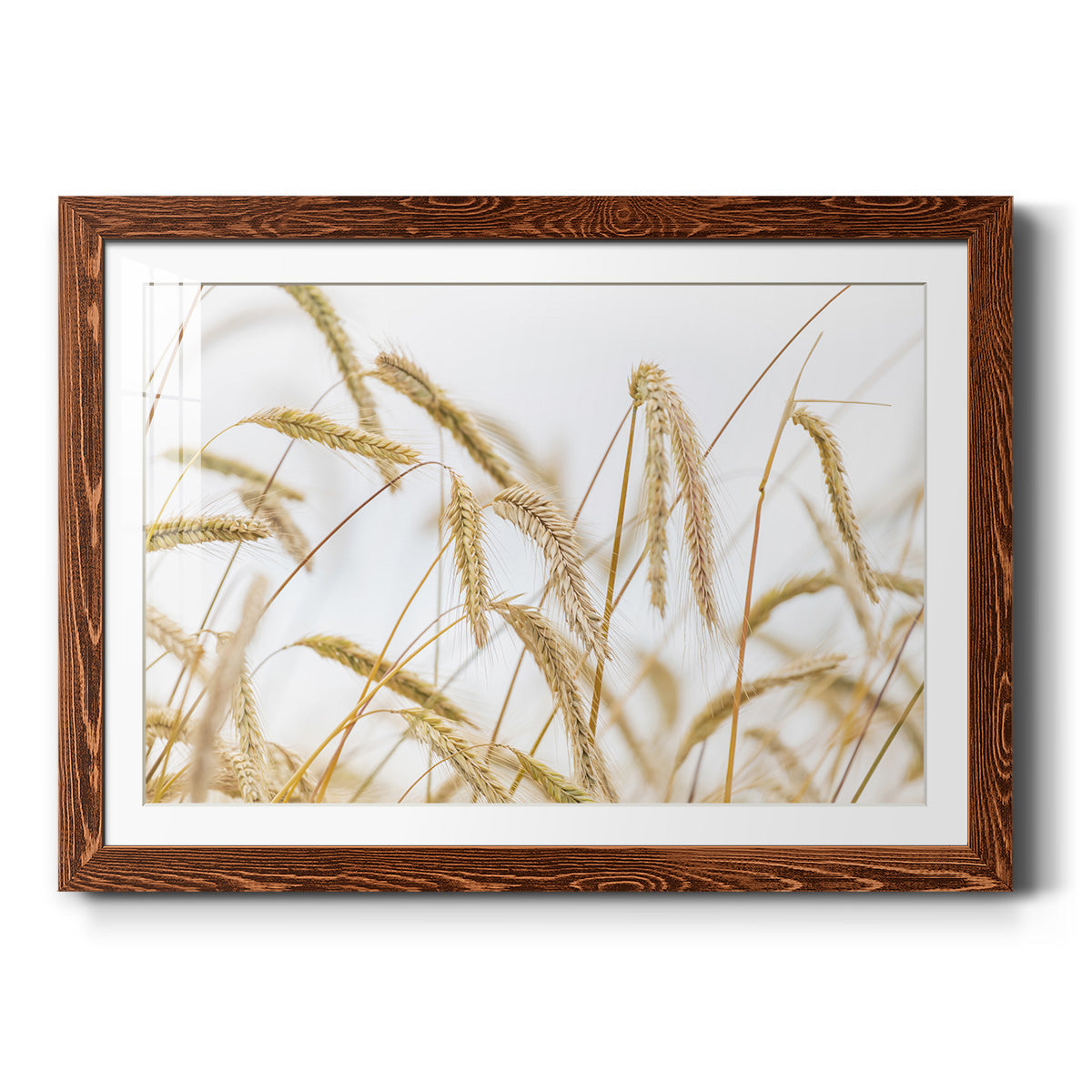 Wheat - Barnwood Framed Art Print