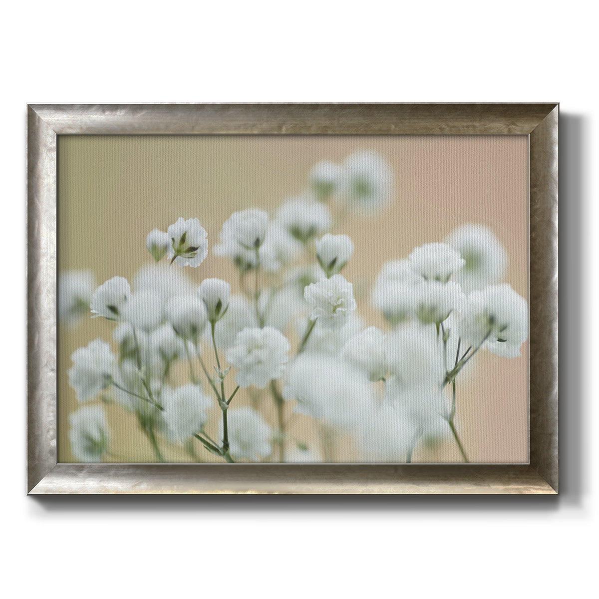 Baby's Breath Study II Premium Framed Canvas- Ready to Hang