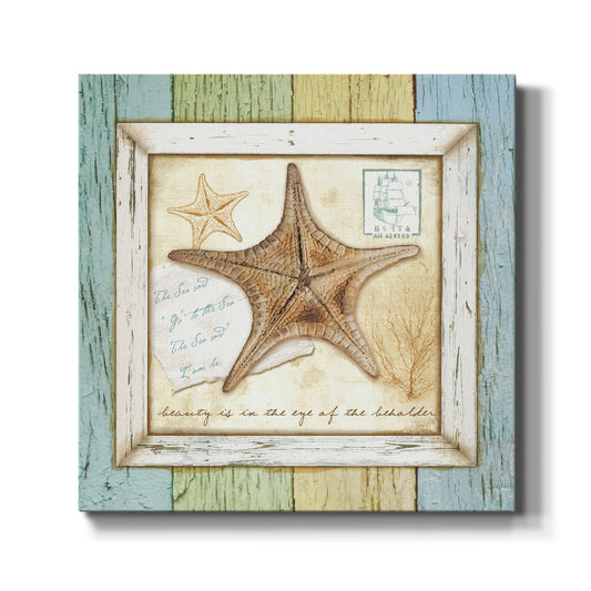 Sea Treasures XII - Canvas Art Print