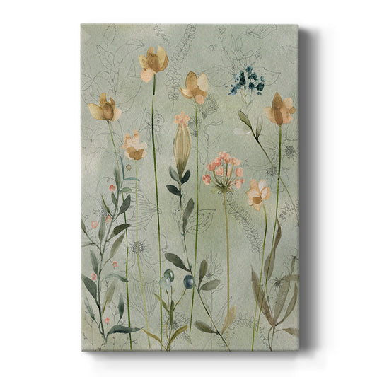 Botanical Sketchbook - Canvas Art Print