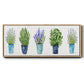 Herbs In A Row - Floater Framed Canvas Print
