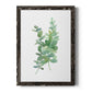 Eucalyptus I - Barnwood Framed Canvas Print