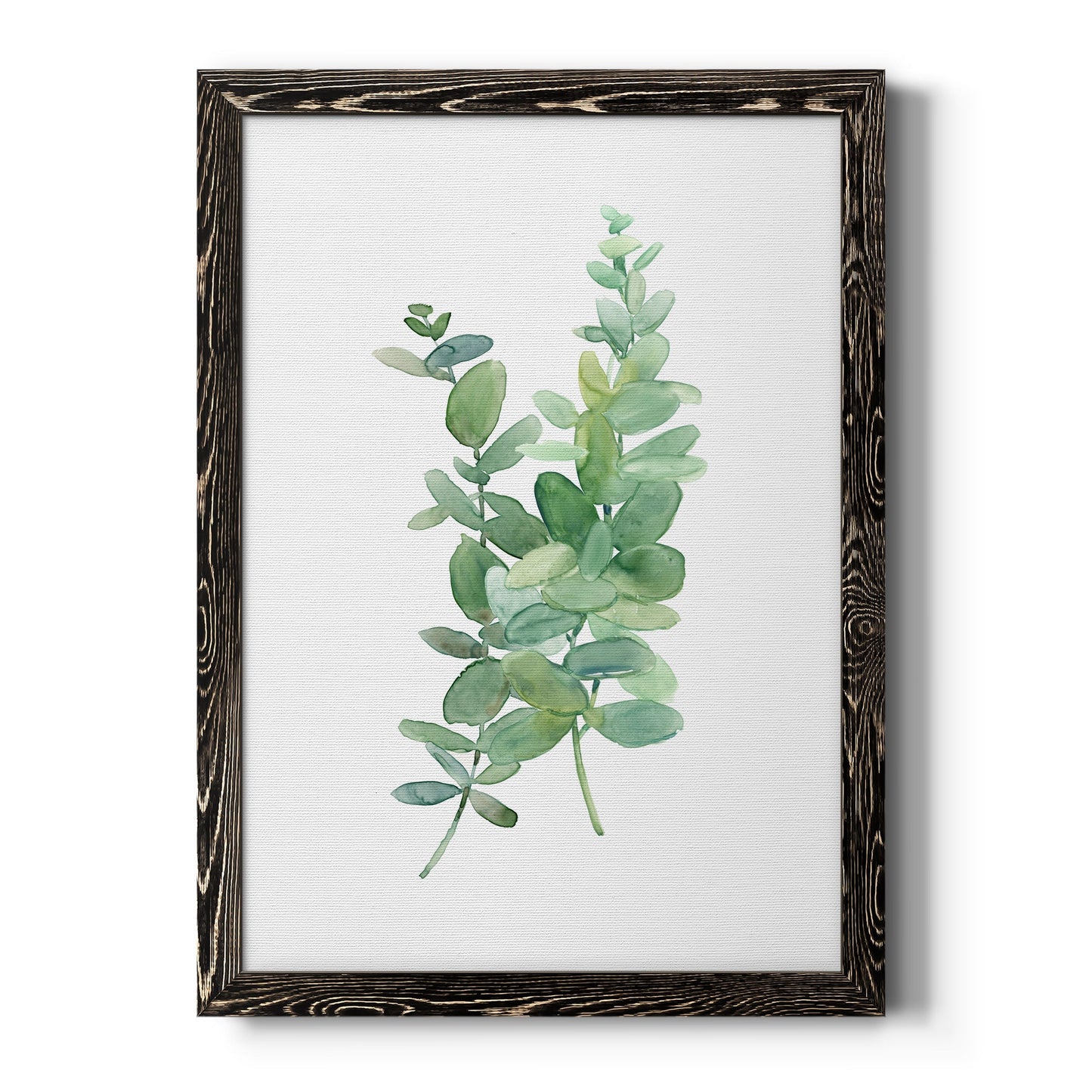 Eucalyptus I - Barnwood Framed Canvas Print