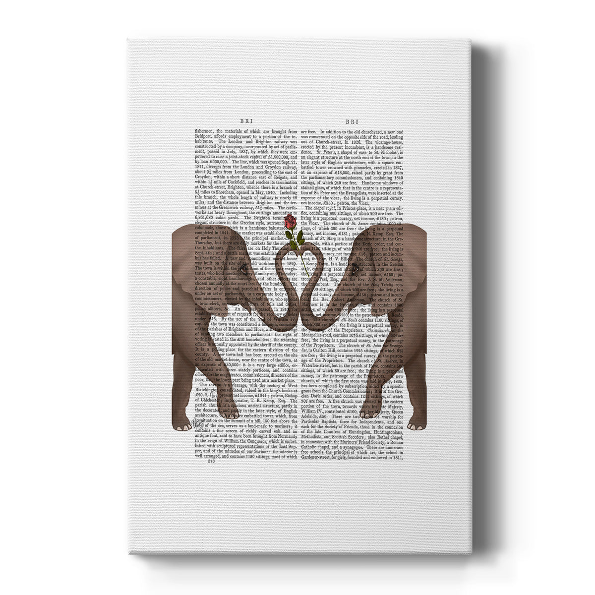 Elephants Heart and Rose Premium Gallery Wrapped Canvas - Ready to Hang