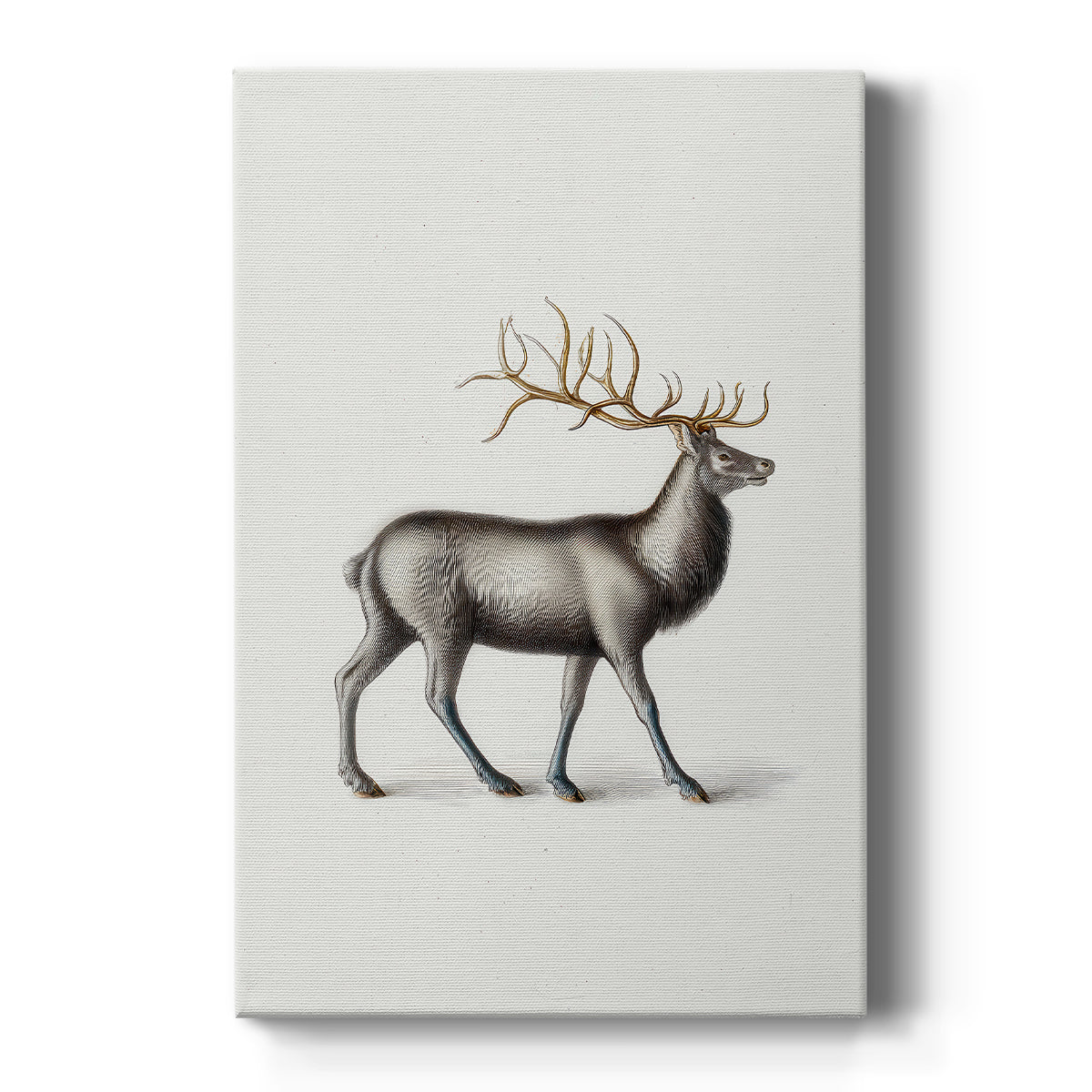 Snowwhite Chapel Parish - Canvas Art Print