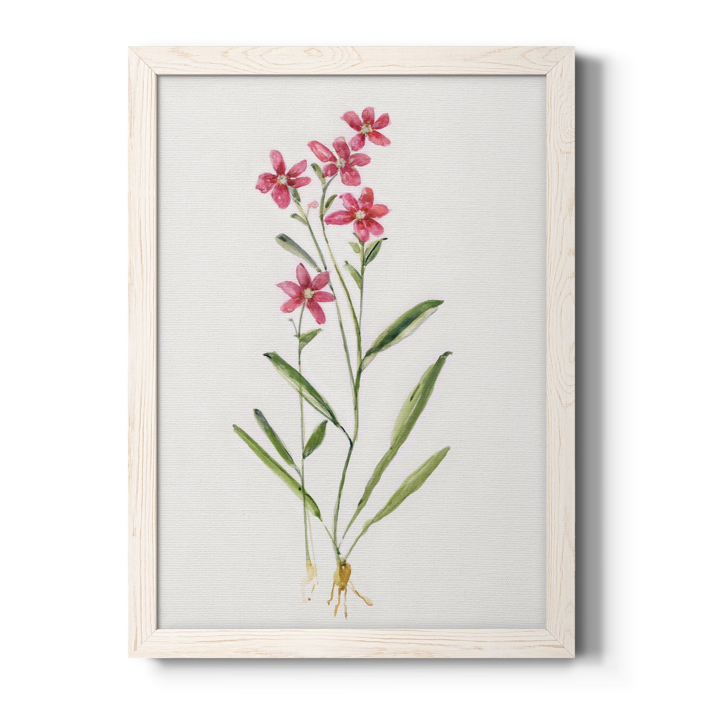 Delicate Pink II - Premium Canvas Framed in Barnwood - Ready to Hang