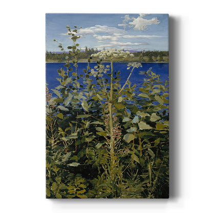 Canvas art print featuring a natural landscape with tall wild angelica plants and delicate white blooms on a clean white background.