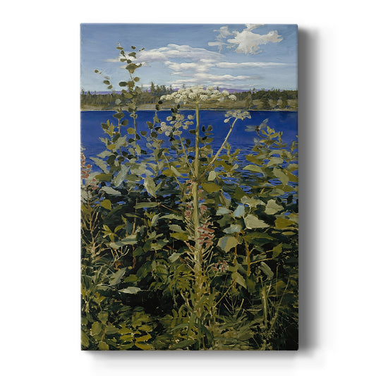 Canvas art print featuring a natural landscape with tall wild angelica plants and delicate white blooms on a clean white background.