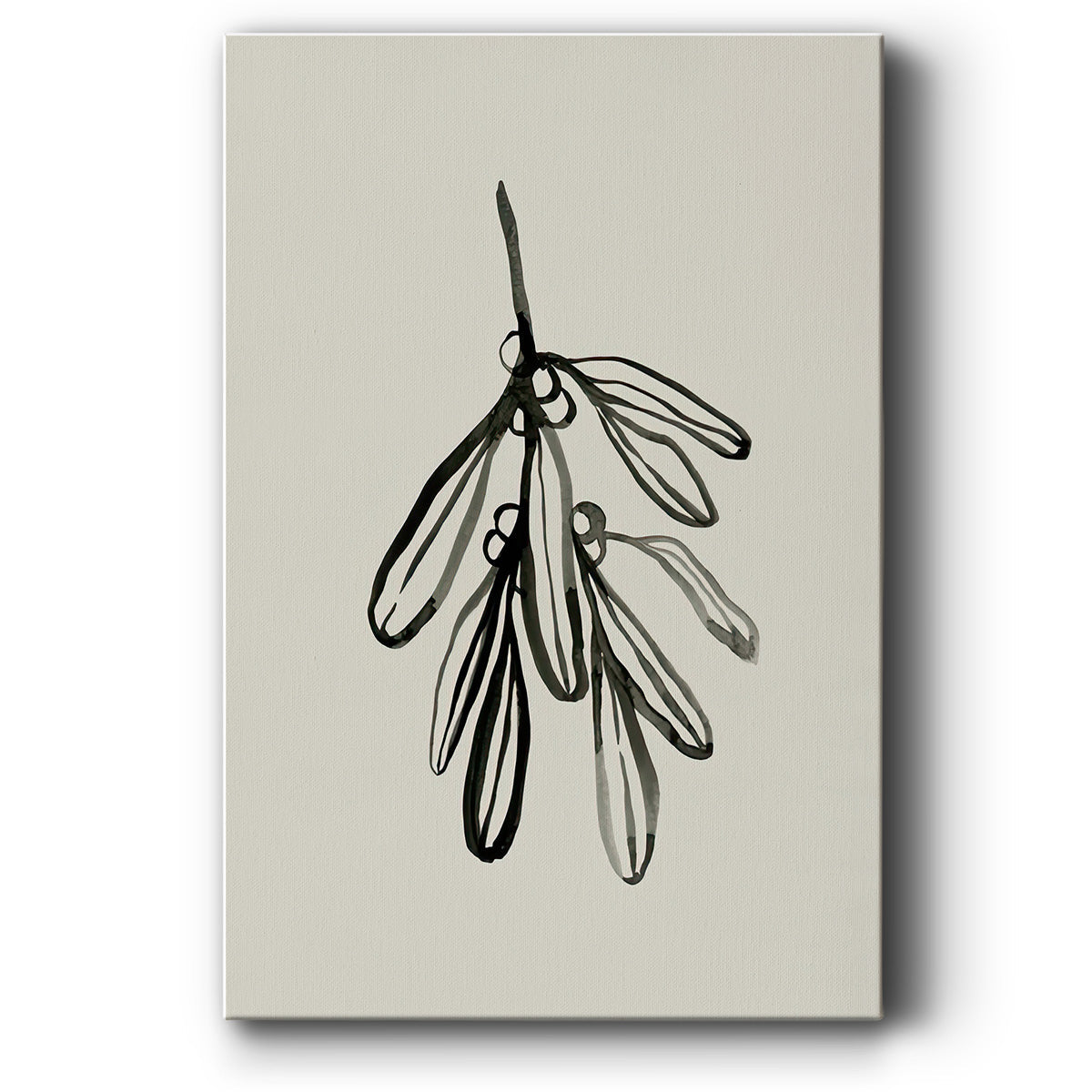 Mistletoe Sketch I - Gallery Wrapped Canvas