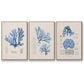 Blue Marine Algae IV - Floater Framed Canvas Set