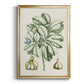 Buchoz Tropicals IX - Modern Framed Canvas Print