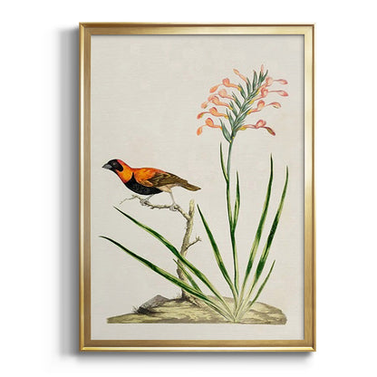 Bird in Habitat III - Modern Framed Canvas Print