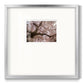 Spring's Arrival - Double Matboard Framed Print