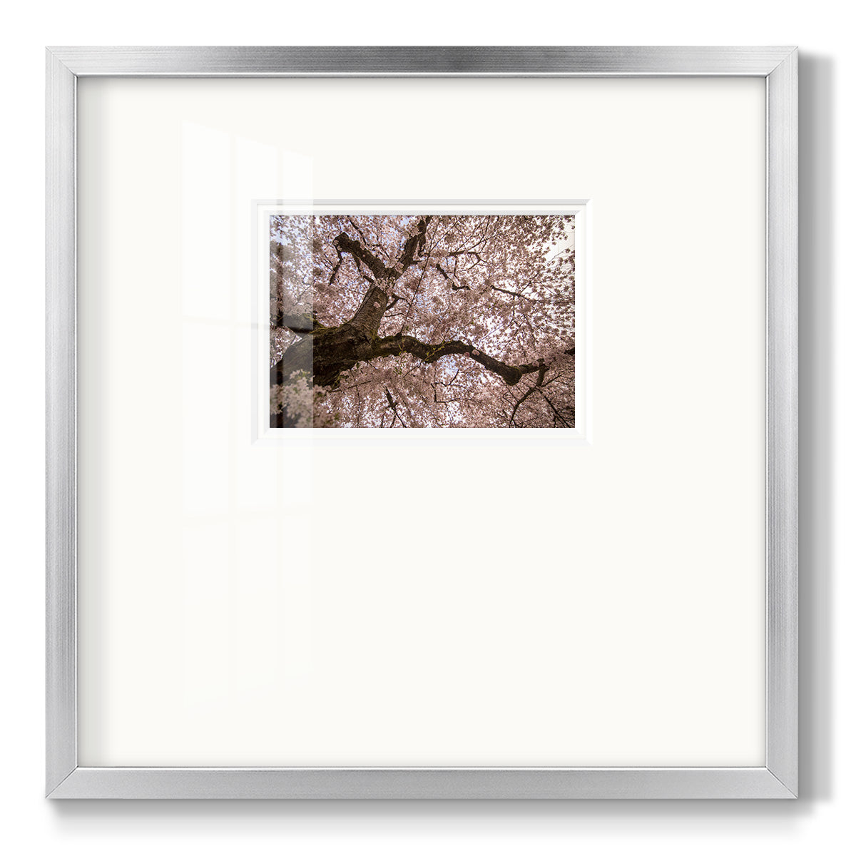 Spring's Arrival - Double Matboard Framed Print
