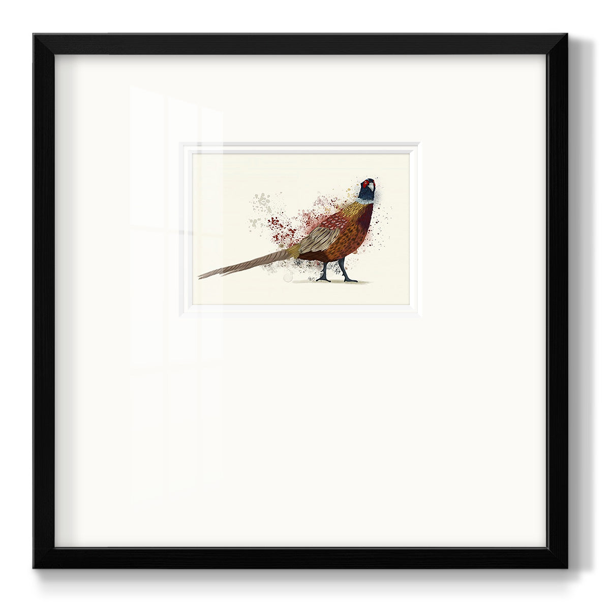 Pheasant Splash 2 - Double Matboard Framed Print