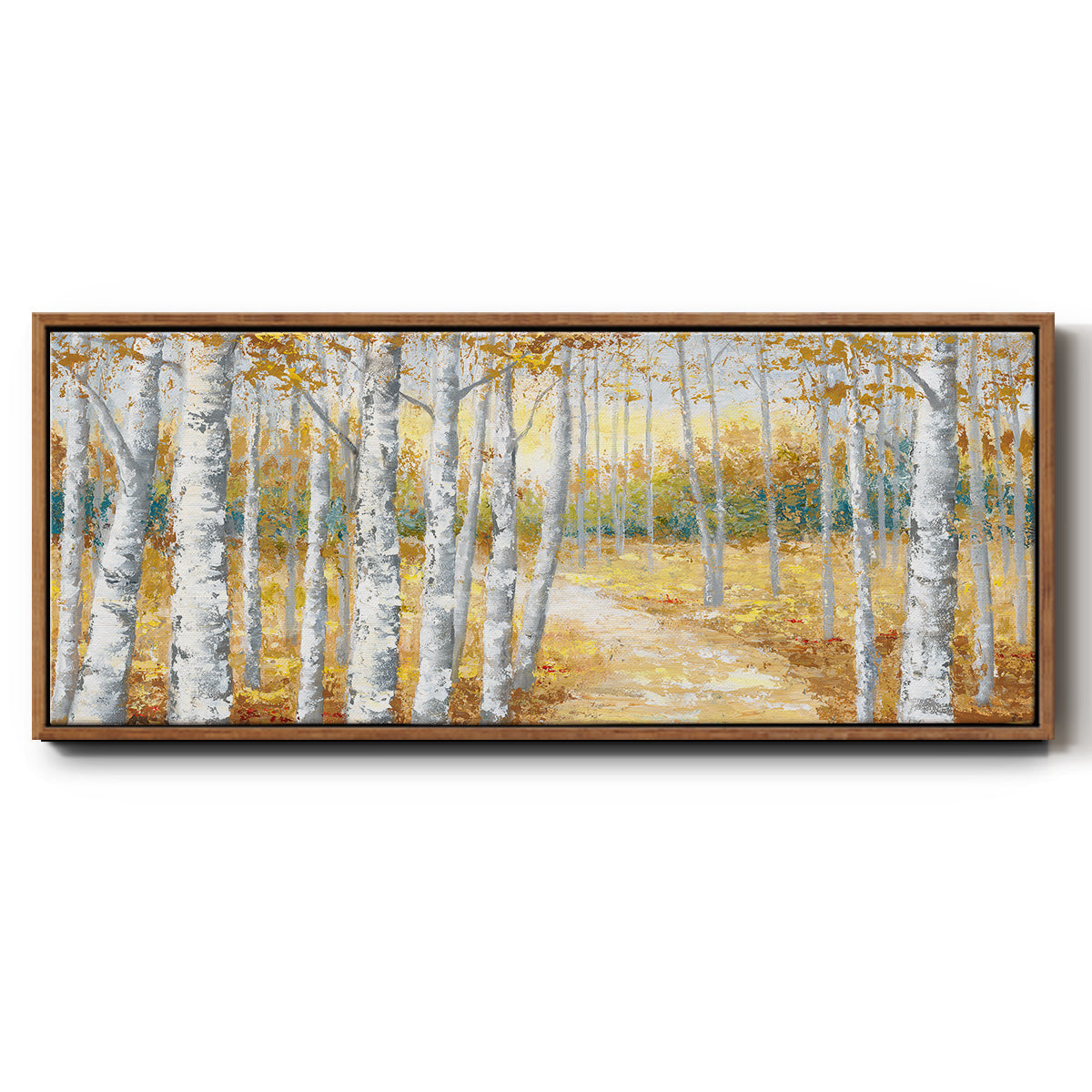 Birch Path I - Floater Framed Canvas Print