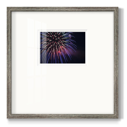 Sky Flower Premium Framed Print Double Matboard