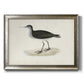 Morris Sandpipers VIII Premium Framed Canvas- Ready to Hang