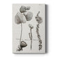 Black & White Protea on Linen II Premium Gallery Wrapped Canvas - Ready to Hang