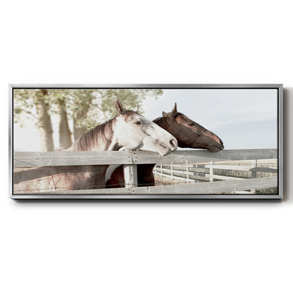 Friendly Visit - Floater Framed Canvas Print