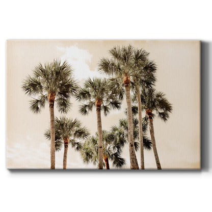 Blushing Palms - Canvas Art Print
