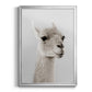 Soft Llama - Modern Framed Canvas Print