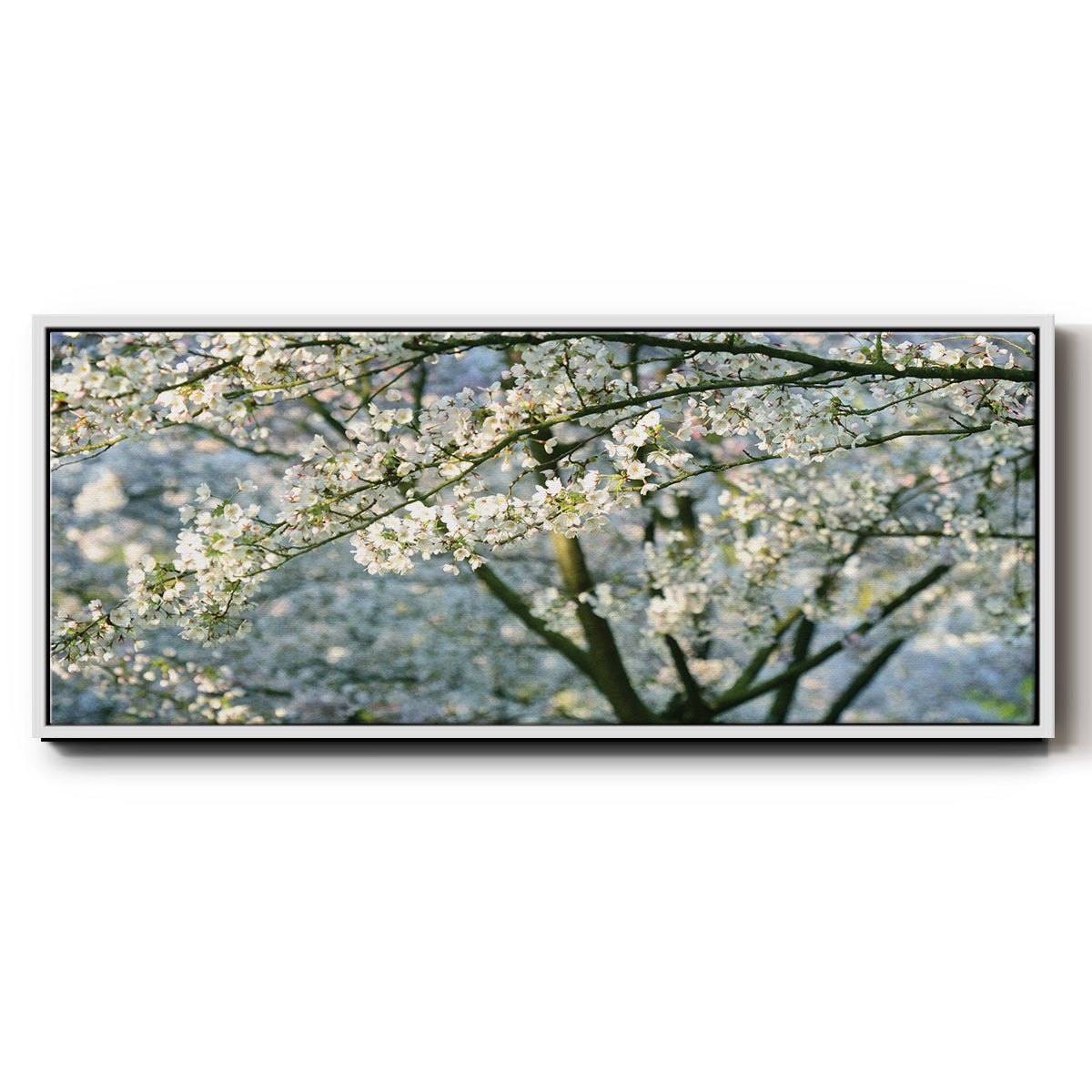 In All Your Glory - Floater Framed Canvas Print