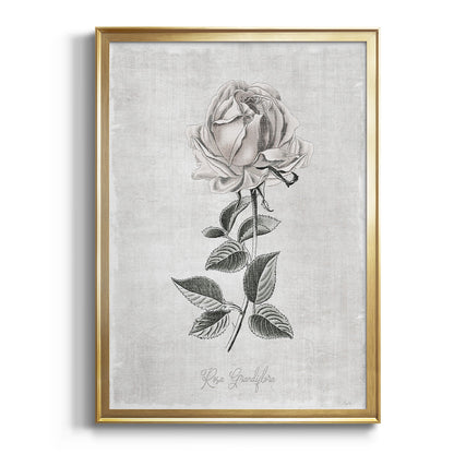 Vintage Botanical II - Modern Framed Canvas Print