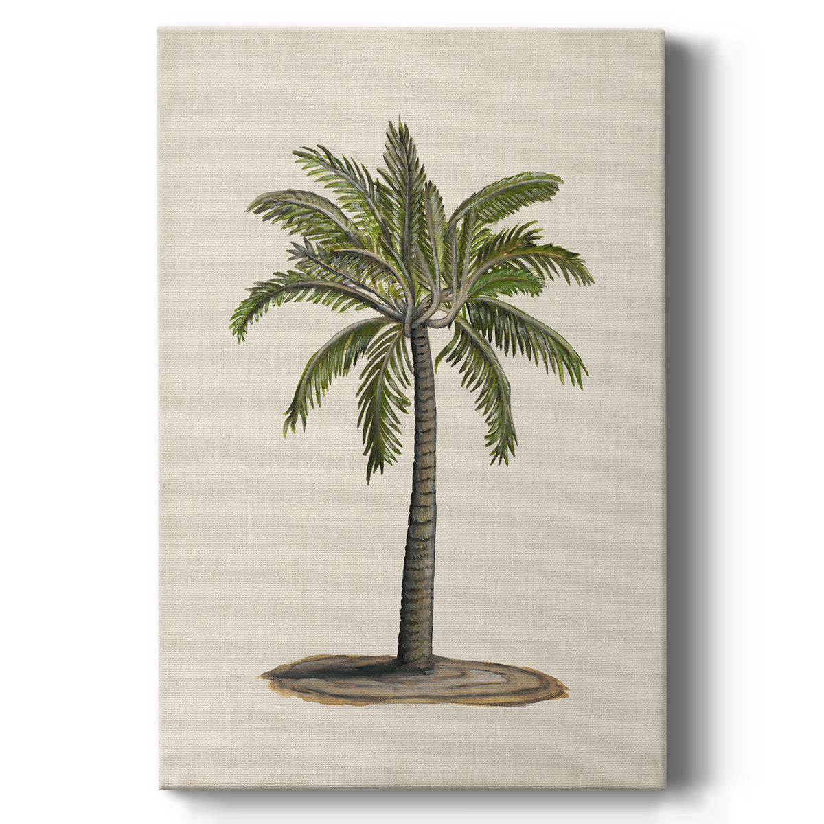 UA CH British Palms I Premium Gallery Wrapped Canvas - Ready to Hang