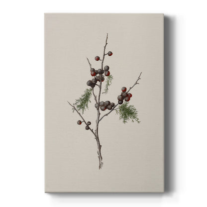 Midnight of Silver Morning - Canvas Art Print