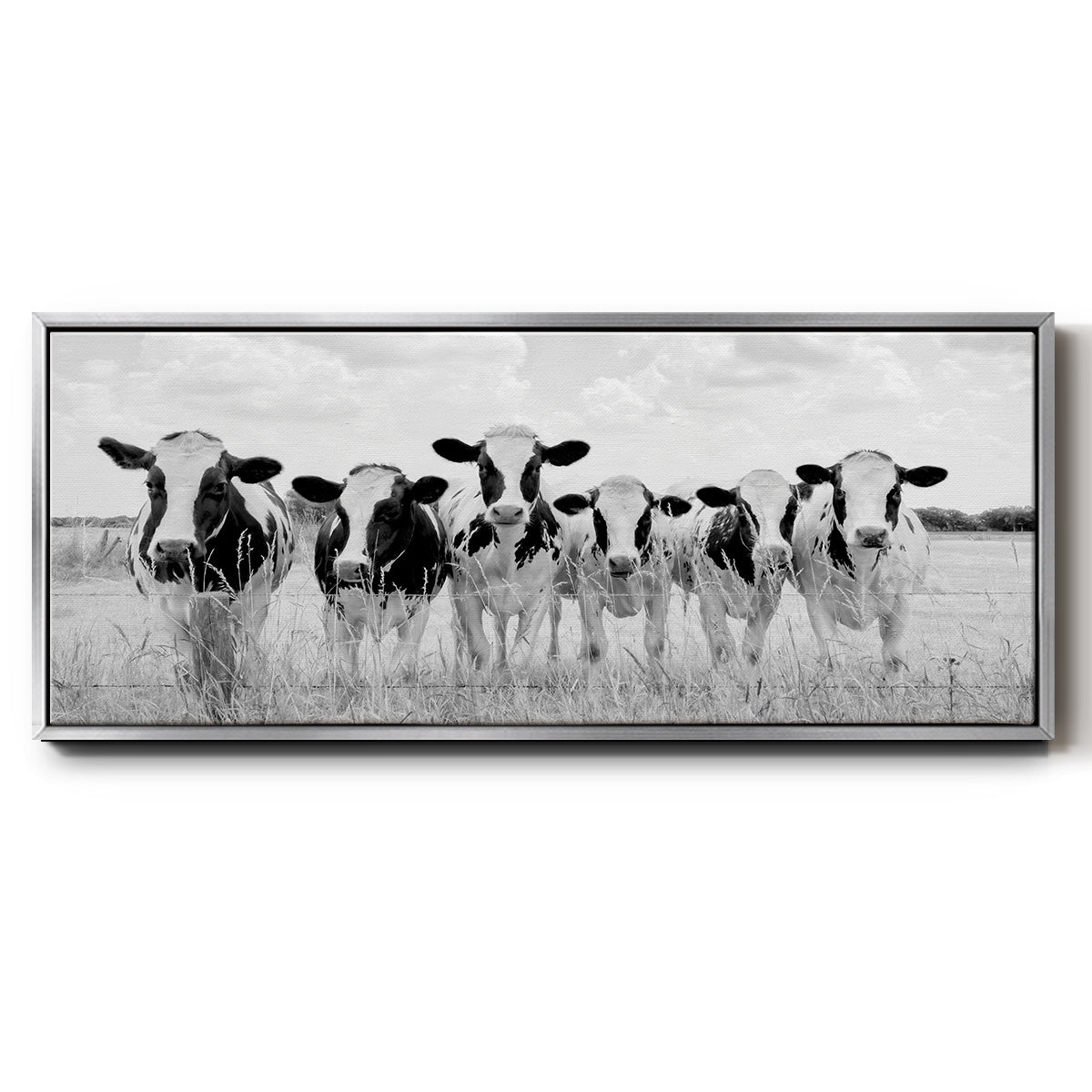 Grazing Pasture - Floater Framed Canvas Print