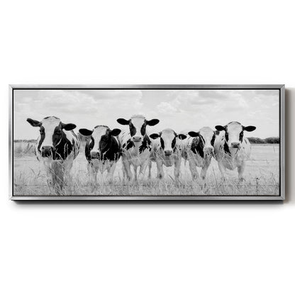 Grazing Pasture - Floater Framed Canvas Print